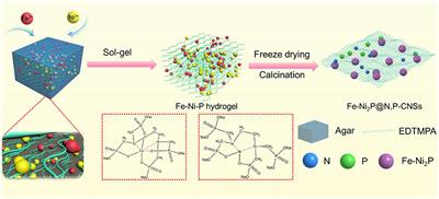 Immobilization of Fe-Doped Ni2P Particles Within Biomass Agarose-Derived Porous N,P-Carbon Nanosheets for Efficient Bifunctional Oxygen Electrocatalysis